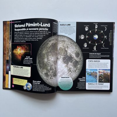 Luxurious Section Sewn Case Bound Book Printing With Embossed Surface Finishing